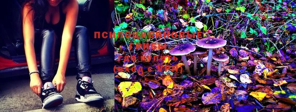MESCALINE Михайловск