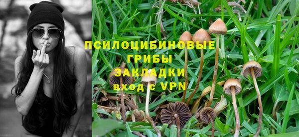 марки lsd Надым