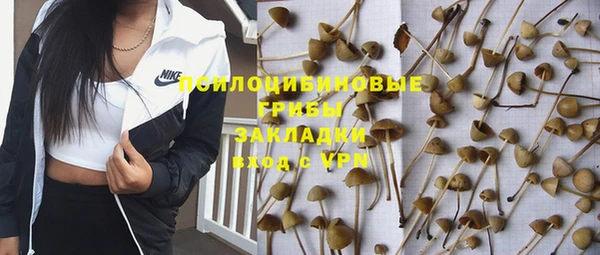 ПСИЛОЦИБИНОВЫЕ ГРИБЫ Наволоки